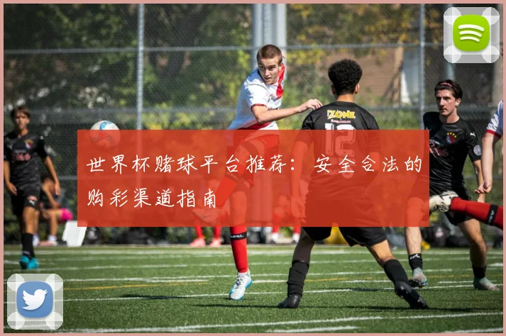 世界杯赌球平台推荐：安全合法的购彩渠道指南