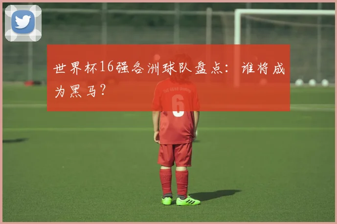 世界杯16强各洲球队盘点：谁将成为黑马？